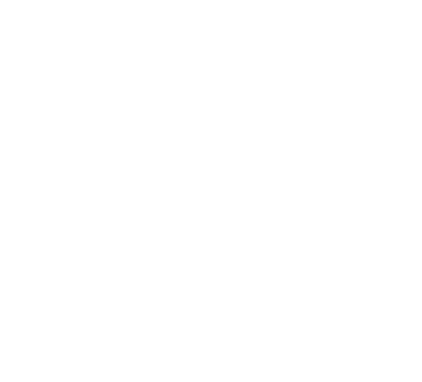 Homecoming 回家